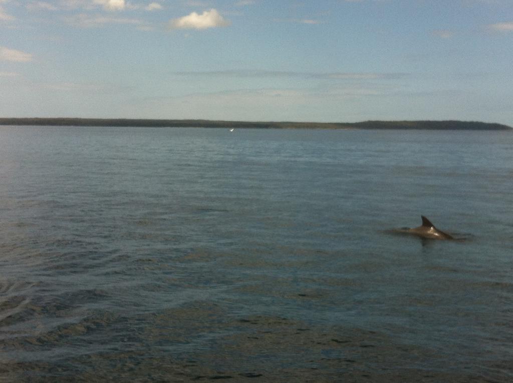 Motel Jervis Bay Mariners Huskisson Exterior foto