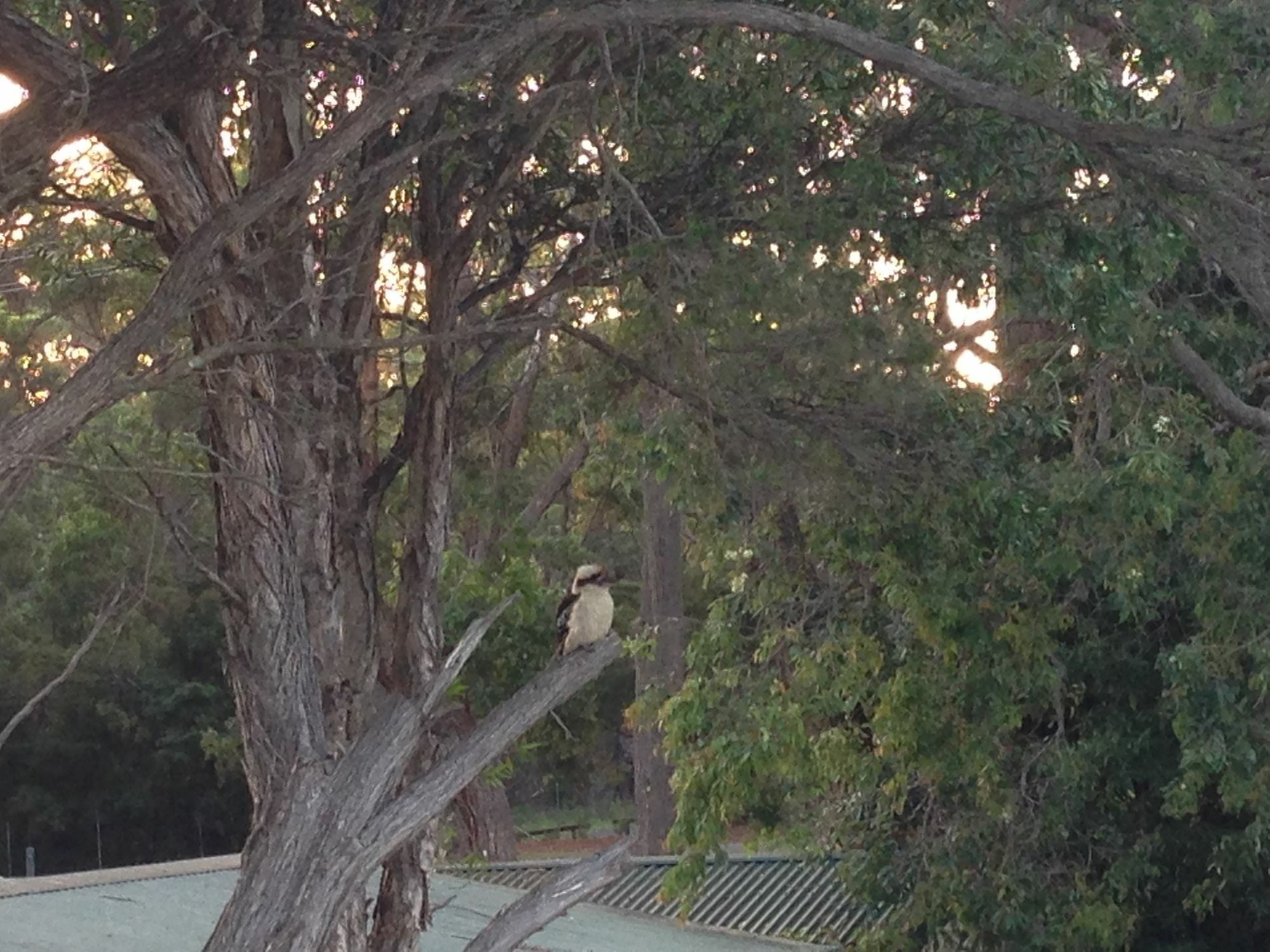 Motel Jervis Bay Mariners Huskisson Exterior foto